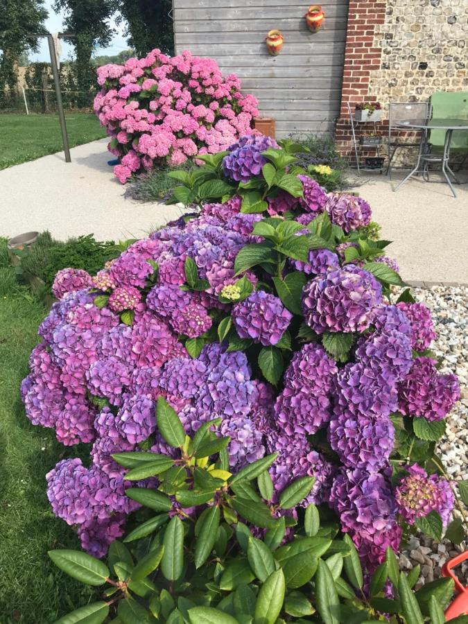 La Grange Aux Hortensias Casa de Férias *